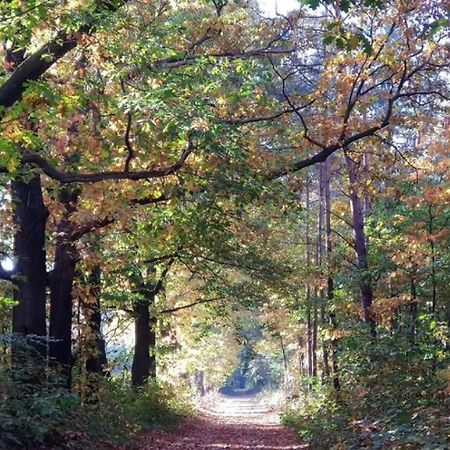 Vakantiehuis Op Rustig Bospark Veluwe ฟัวร์เธาเซอ ภายนอก รูปภาพ
