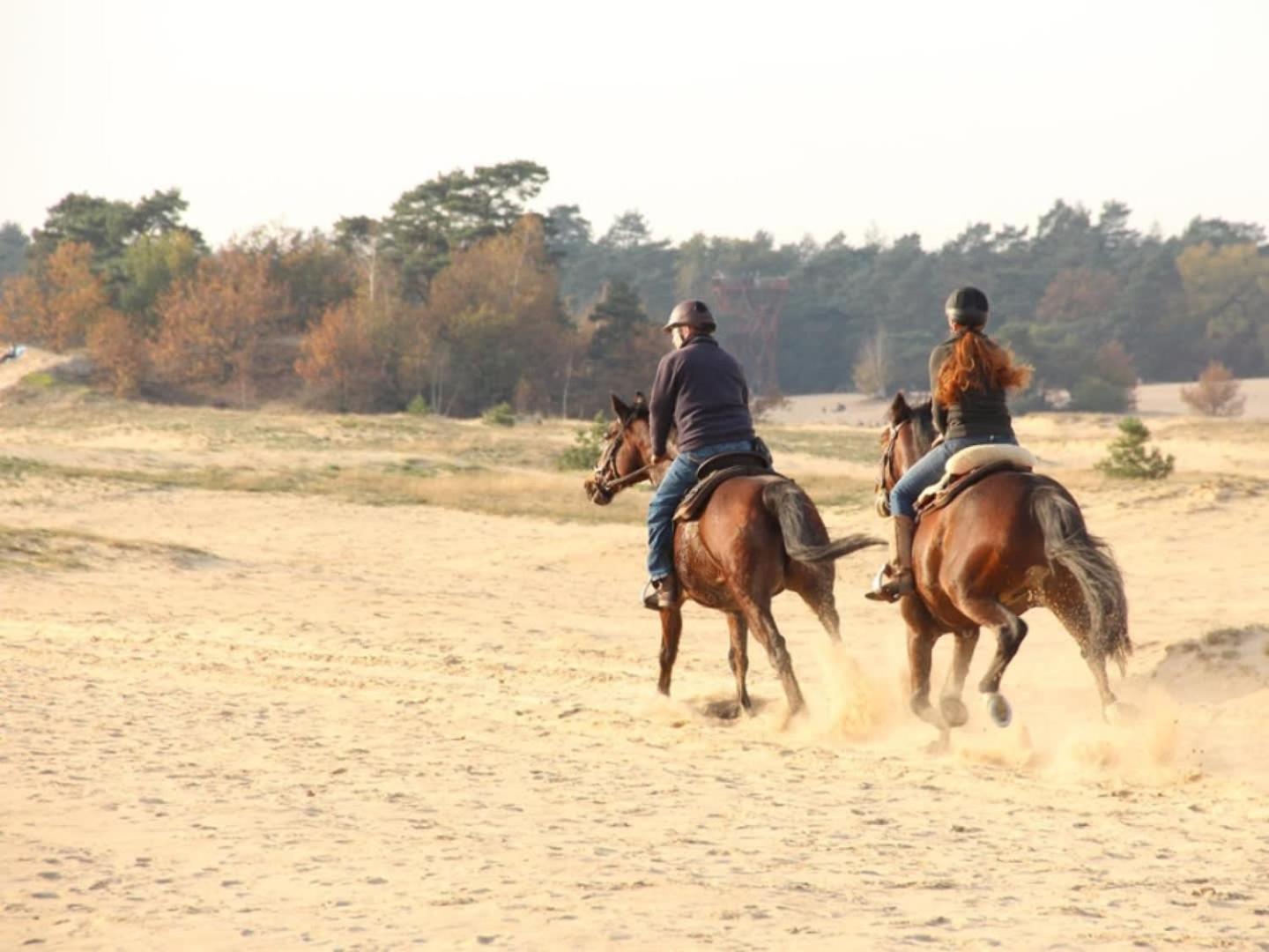 Vakantiehuis Op Rustig Bospark Veluwe ฟัวร์เธาเซอ ภายนอก รูปภาพ
