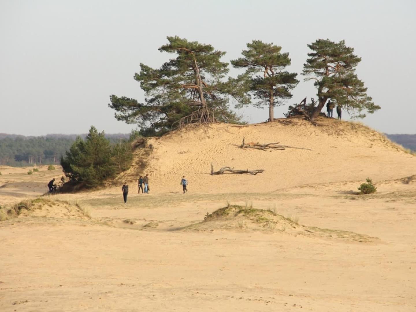 Vakantiehuis Op Rustig Bospark Veluwe ฟัวร์เธาเซอ ภายนอก รูปภาพ