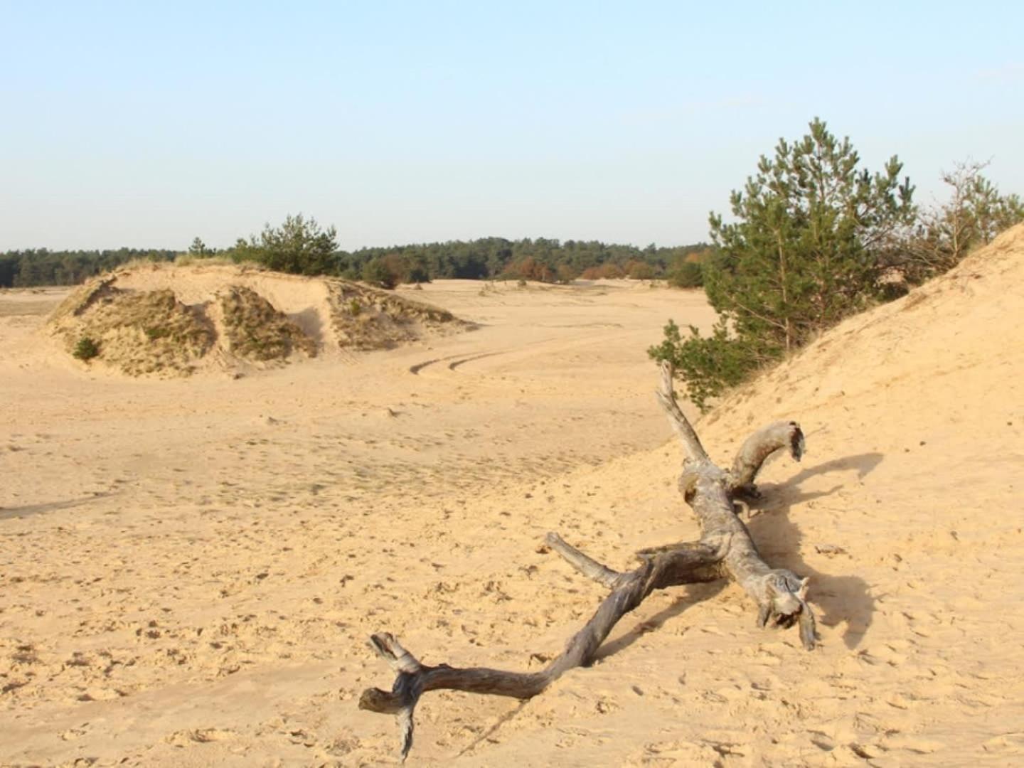 Vakantiehuis Op Rustig Bospark Veluwe ฟัวร์เธาเซอ ภายนอก รูปภาพ