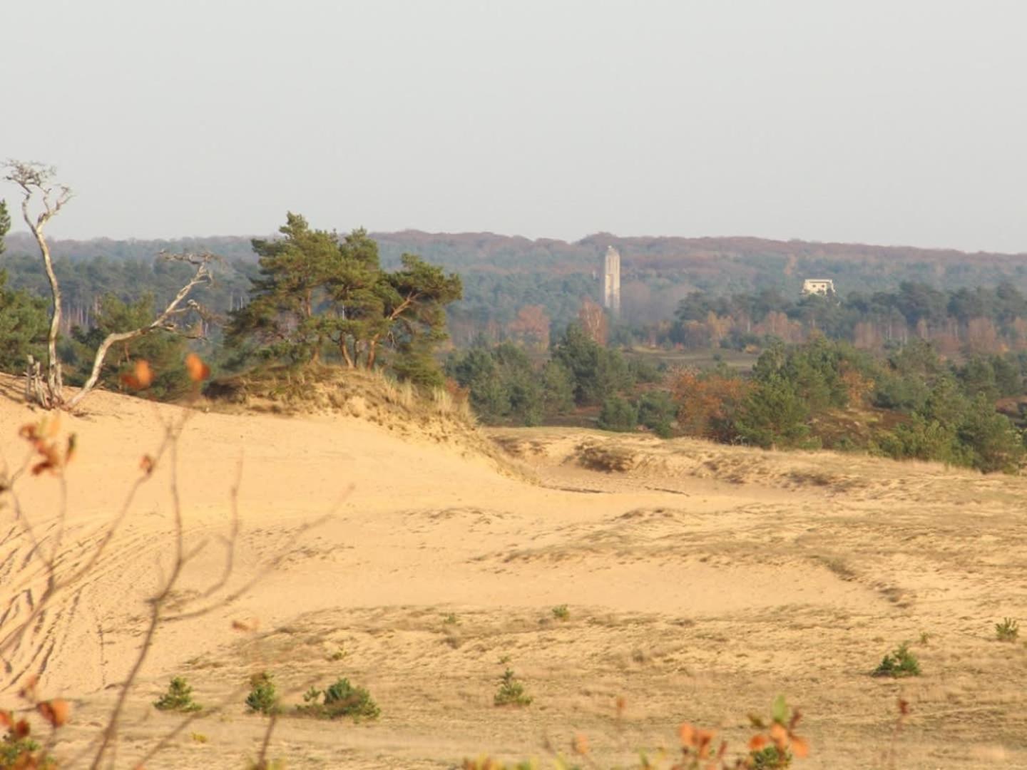 Vakantiehuis Op Rustig Bospark Veluwe ฟัวร์เธาเซอ ภายนอก รูปภาพ