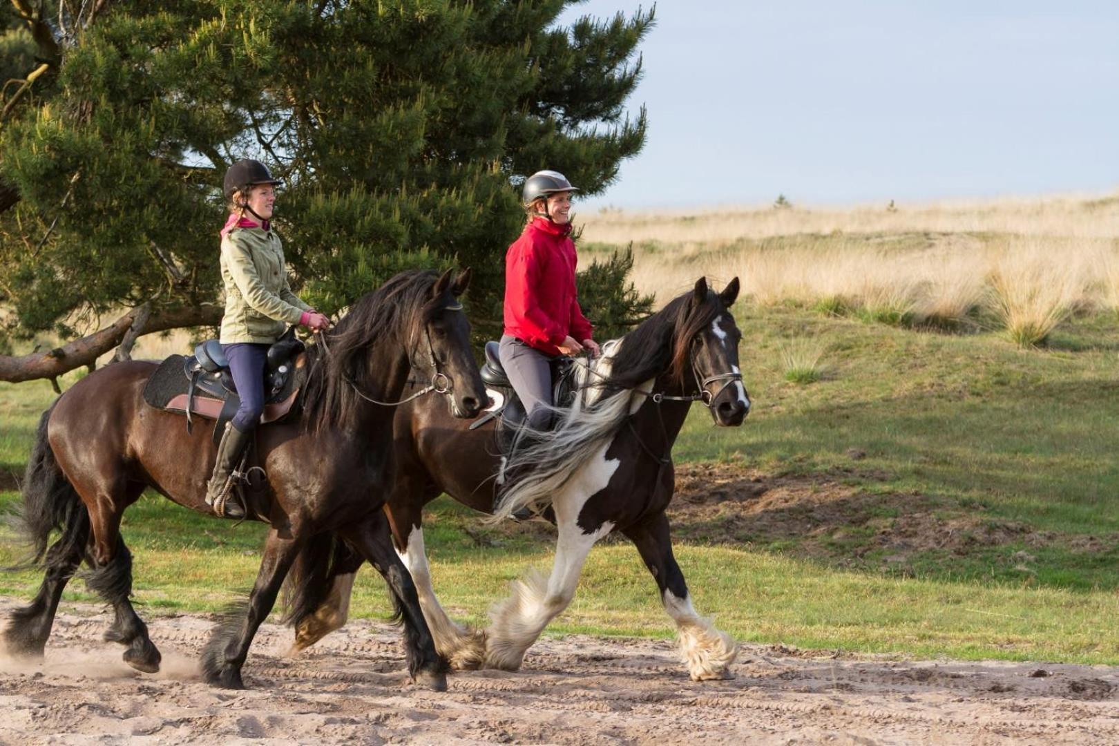 Vakantiehuis Op Rustig Bospark Veluwe ฟัวร์เธาเซอ ภายนอก รูปภาพ