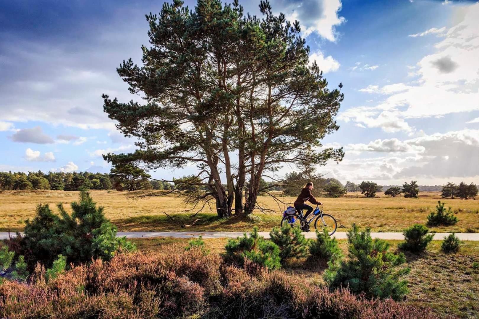Vakantiehuis Op Rustig Bospark Veluwe ฟัวร์เธาเซอ ภายนอก รูปภาพ