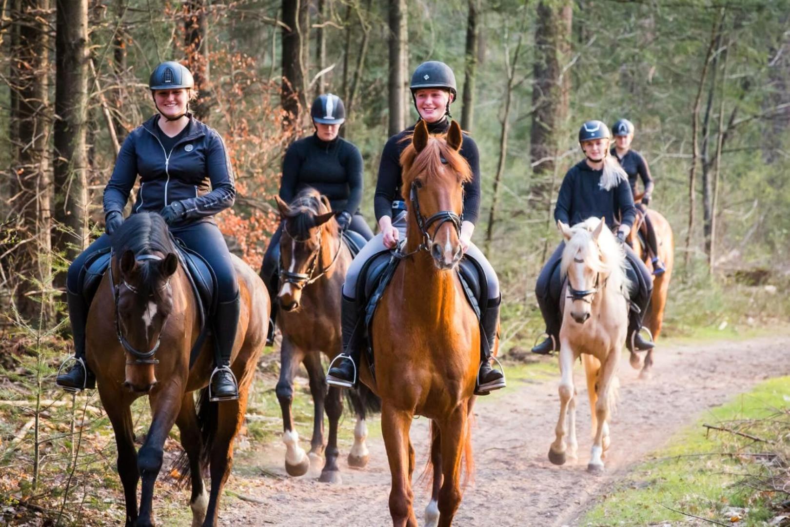 Vakantiehuis Op Rustig Bospark Veluwe ฟัวร์เธาเซอ ภายนอก รูปภาพ