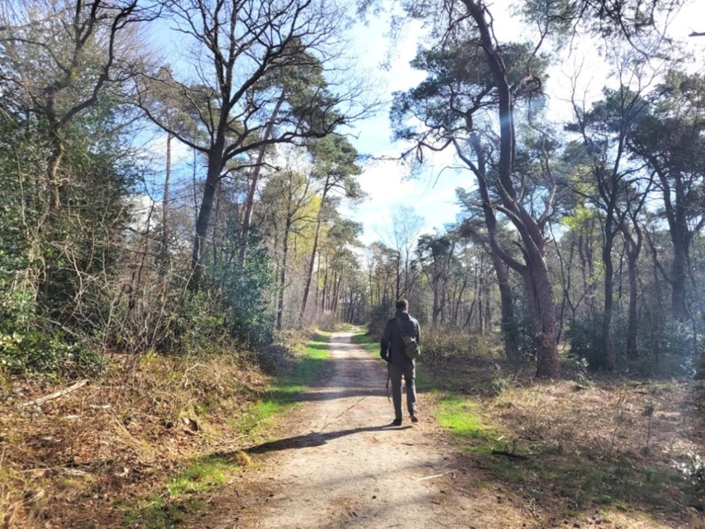 Vakantiehuis Op Rustig Bospark Veluwe ฟัวร์เธาเซอ ภายนอก รูปภาพ